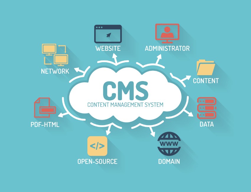 Website development on CMS
